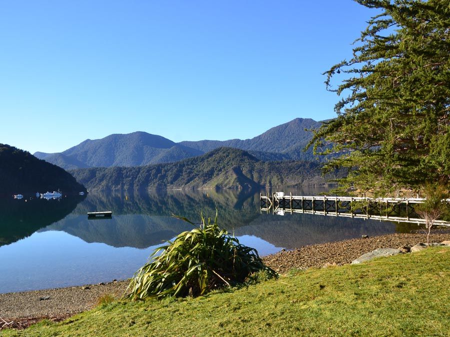 highly skilled, reliable and experienced tradesperson painter